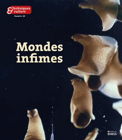 Techniques & culture, n° 68. Mondes infimes