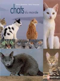 Chats du monde