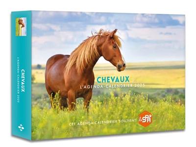 Chevaux : l'agenda-calendrier 2025