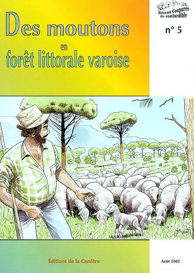 Des moutons en forêt littorale varoise