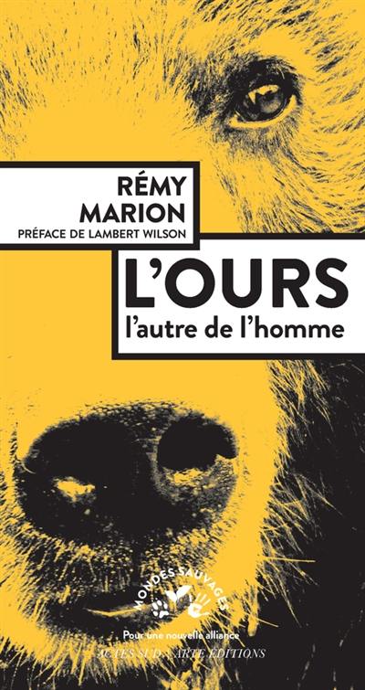 L'ours : l'autre de l'homme