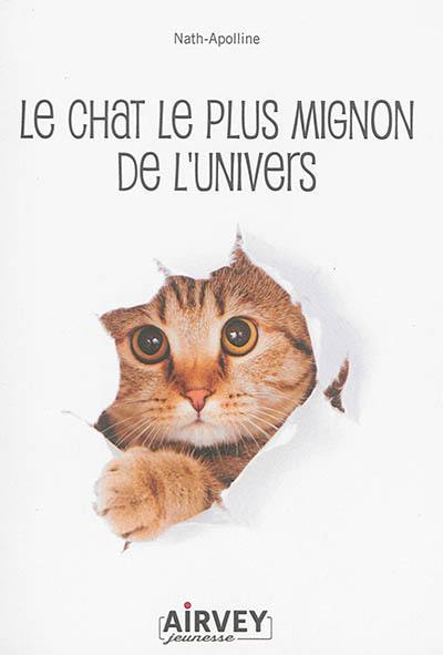 Le chat le plus mignon de l'univers