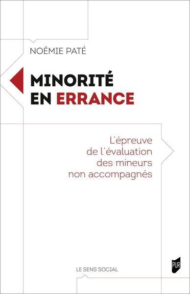 Minorité en errance : l'épreuve de l'évaluation des mineurs non accompagnés