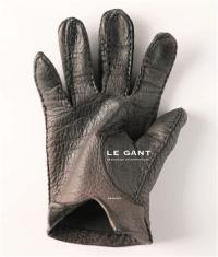 Le gant