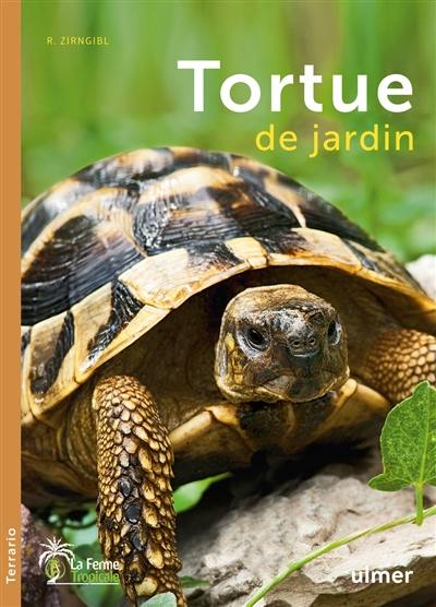 Tortue de jardin