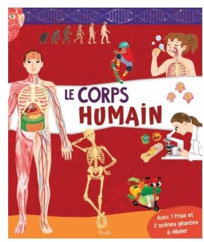 Le corps humain