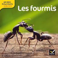 Les fourmis : cycle 2