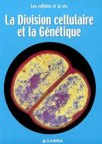 La division cellulaire et la génétique