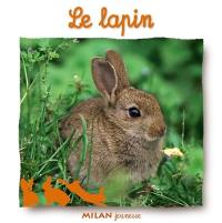 Le lapin