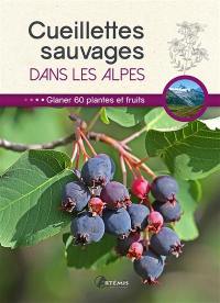 Cueillettes sauvages dans les Alpes : glaner 60 plantes et fruits