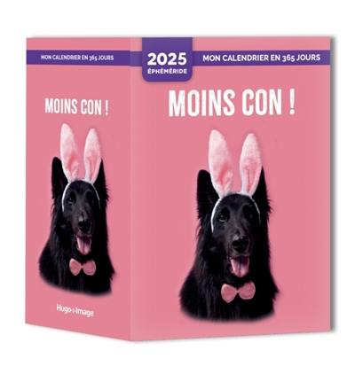 Mon calendrier 2025 : Moins con !