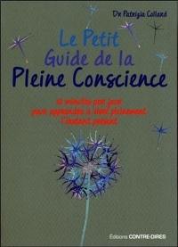 Le petit guide de la pleine conscience : quelques minutes par jour pour apprendre à vivre pleinement l'instant présent