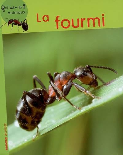 La fourmi