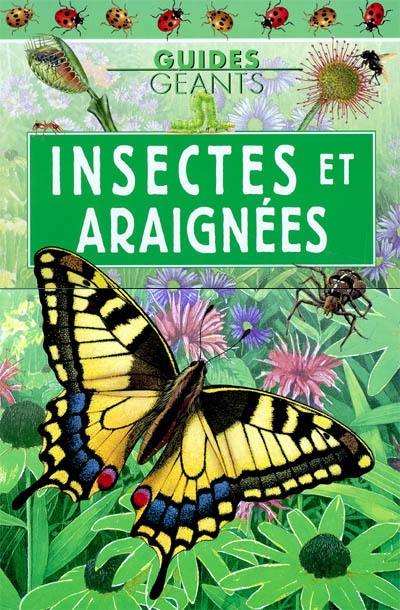 Insectes et araignées