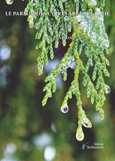 Le parfum des cyprès après la pluie