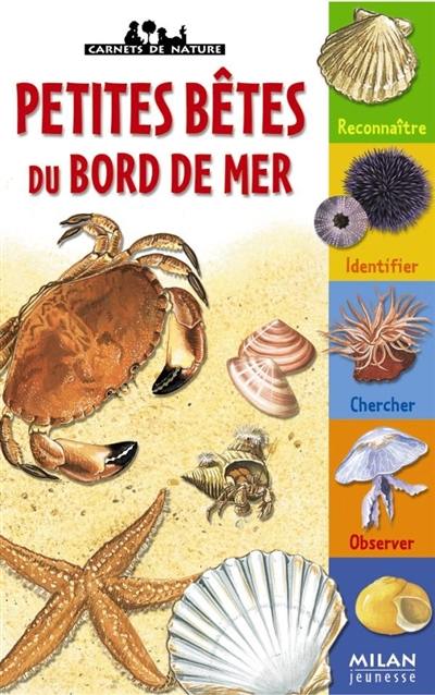 Petites bêtes du bord de mer