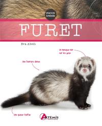 Furet