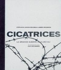 Cicatrices : la Grande guerre aujourd'hui