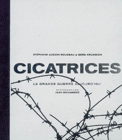 Cicatrices : la Grande guerre aujourd'hui