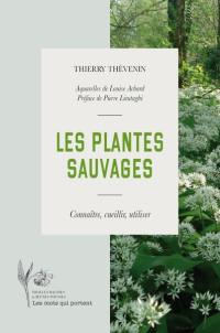 Les plantes sauvages : connaître, cueillir, utiliser