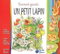 Comment grandit un petit lapin