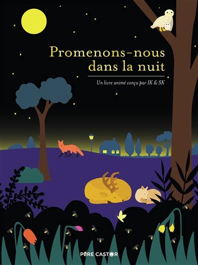 Promenons-nous dans la nuit