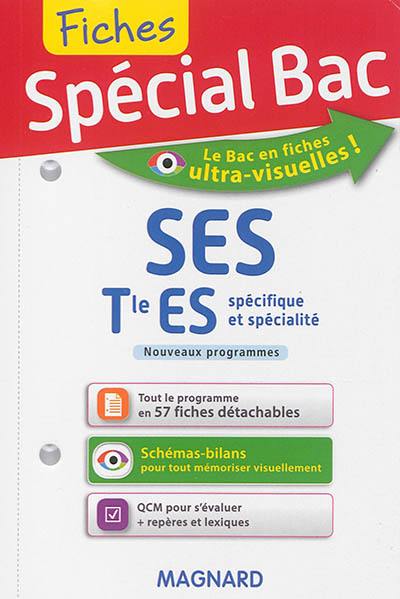 SES terminale ES, spécifique et spécialité : nouveaux programmes