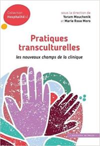 Pratiques transculturelles : les nouveaux champs de la clinique