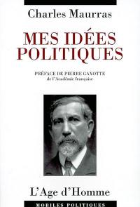 Mes idées politiques