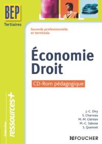 Economie droit BEP tertiaires, seconde professionnelle et terminale : CD-ROM pédagogique