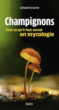 Champignons : tout ce qu'il faut savoir en mycologie