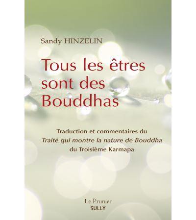 Tous les êtres sont des bouddhas : Traité qui montre la nature de Bouddha du 3e karmapa