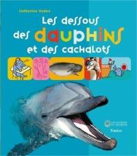 Les dessous des dauphins et des cachalots