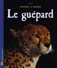 Le guépard