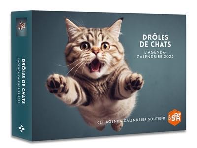 Drôles de chats : l'agenda-calendrier 2025