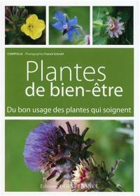 Plantes de bien-être : du bon usage des plantes qui soignent