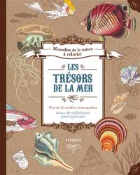 Les trésors de la mer : plus de 40 modèles remarquables issus de collections prestigieuses