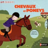 Chevaux et poneys