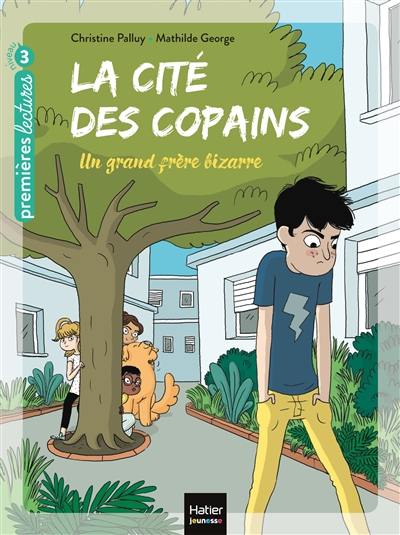 La cité des copains. Vol. 3. Un grand frère bizarre