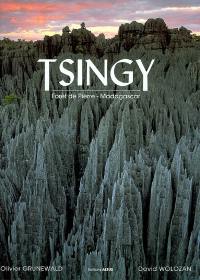 Tsingy : forêt de pierre, Madagascar