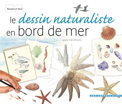 Le dessin naturaliste en bord de mer