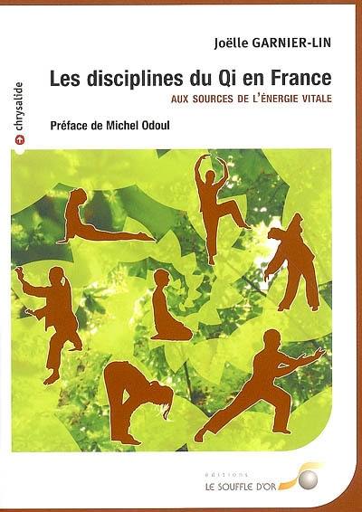 Les disciplines du Qi en France : aux sources de l'énergie vitale