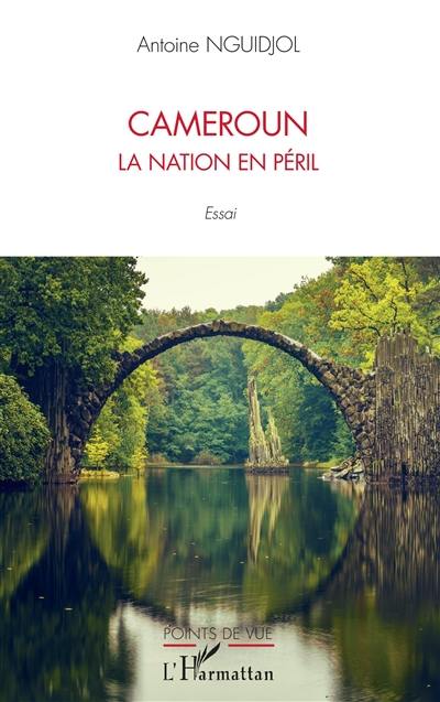 Cameroun : la nation en péril : essai