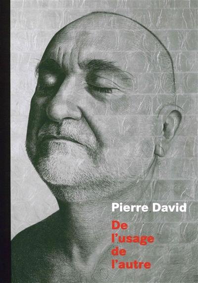 Pierre David : de l'usage de l'autre : une exposition au Musée des beaux-arts de Chambéry