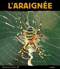 L'araignée