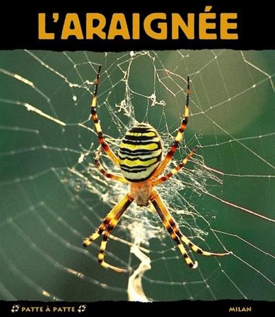 L'araignée