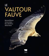 Le vautour fauve