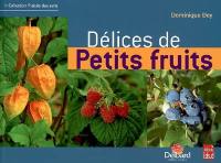 Délices de petits fruits