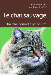 Le chat sauvage : un retour discret à pas feutrés