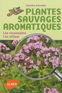 Plantes sauvages aromatiques : les reconnaître, les utiliser